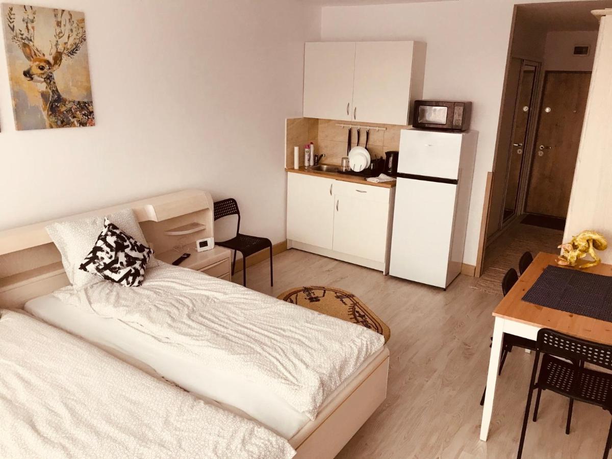 Studio 1O1O1 Apartment Piatra Neamt Ngoại thất bức ảnh