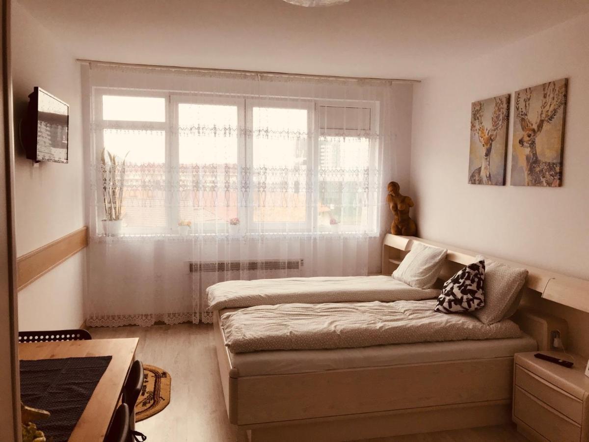 Studio 1O1O1 Apartment Piatra Neamt Ngoại thất bức ảnh